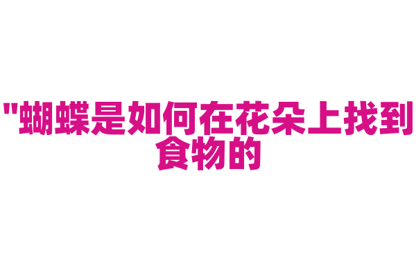 "蝴蝶是如何在花朵上找到食物的？"